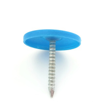 Plastic cap umbrella head roofing nail stainless steel nails with plastic head